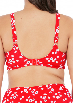 Elomi Swim Plain Sailing bikiniöverdel F-K kupa röd