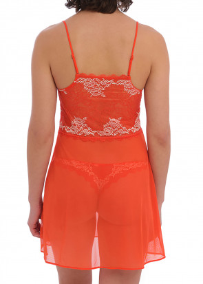 Wacoal Lace Perfection chemise S-XL orange